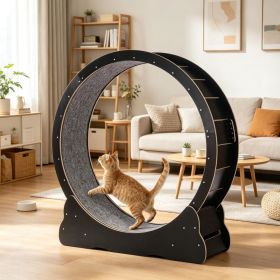 Wooden Cat Exercise Wheel