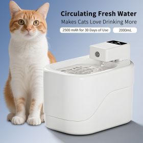 Cat Water Fountain, Pet Water Fountain